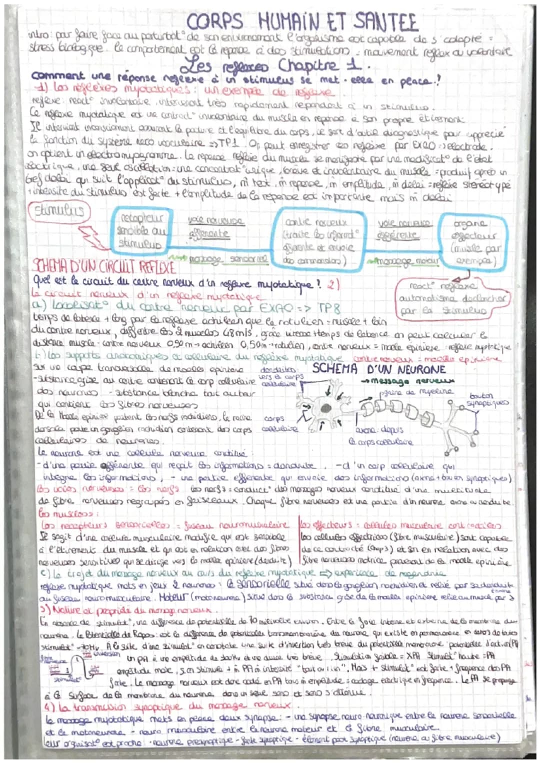 =
CORPS HUMAIN ET SANTEE
intro: pour faire face au perturbat" de son enormement l'organisme est capable des colopte
stress biologique le com