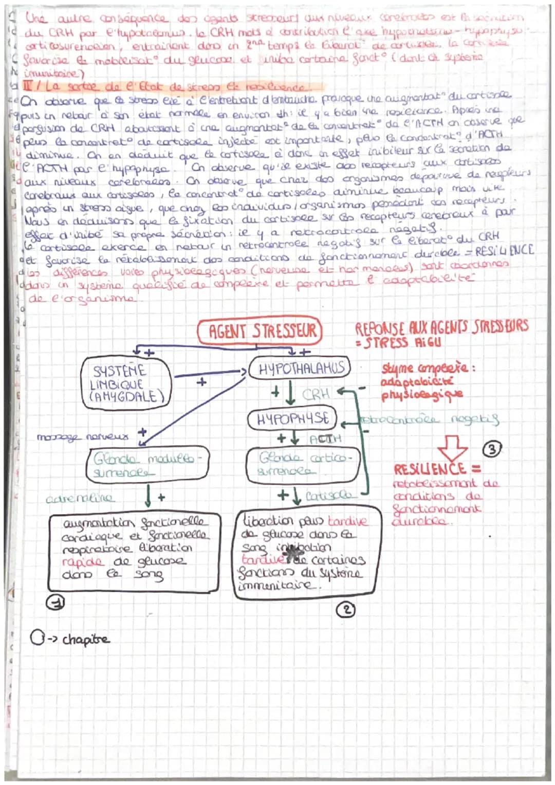 =
CORPS HUMAIN ET SANTEE
intro: pour faire face au perturbat" de son enormement l'organisme est capable des colopte
stress biologique le com