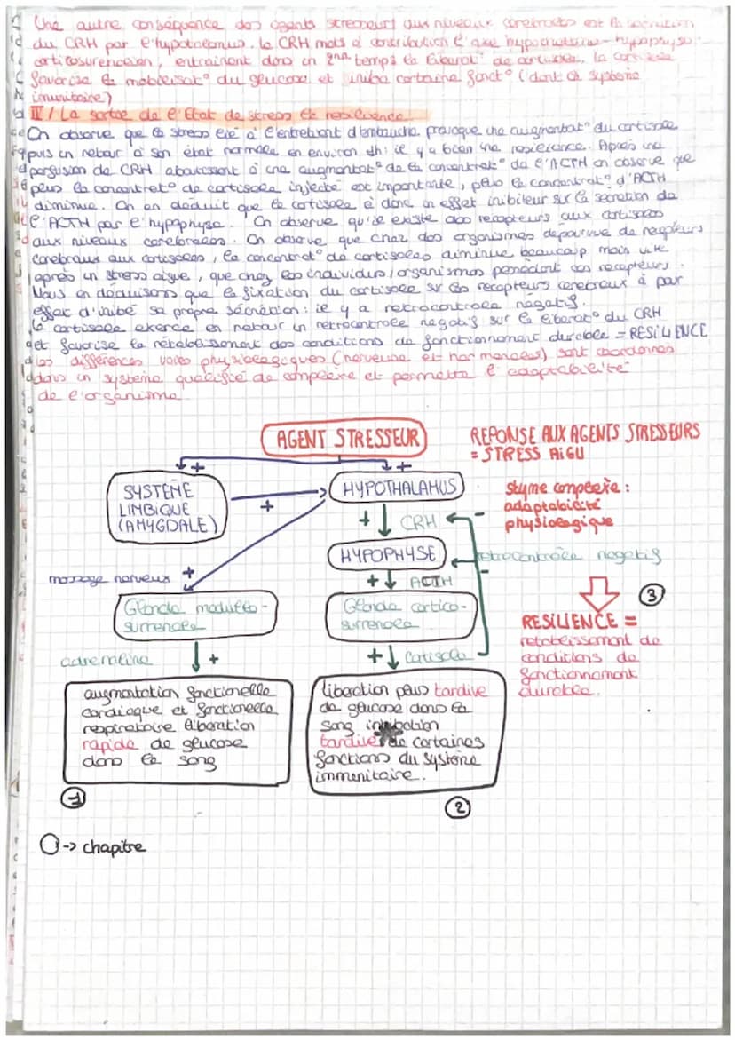 =
CORPS HUMAIN ET SANTEE
intro: pour faire face au perturbat" de son enormement l'organisme est capable des colopte
stress biologique le com
