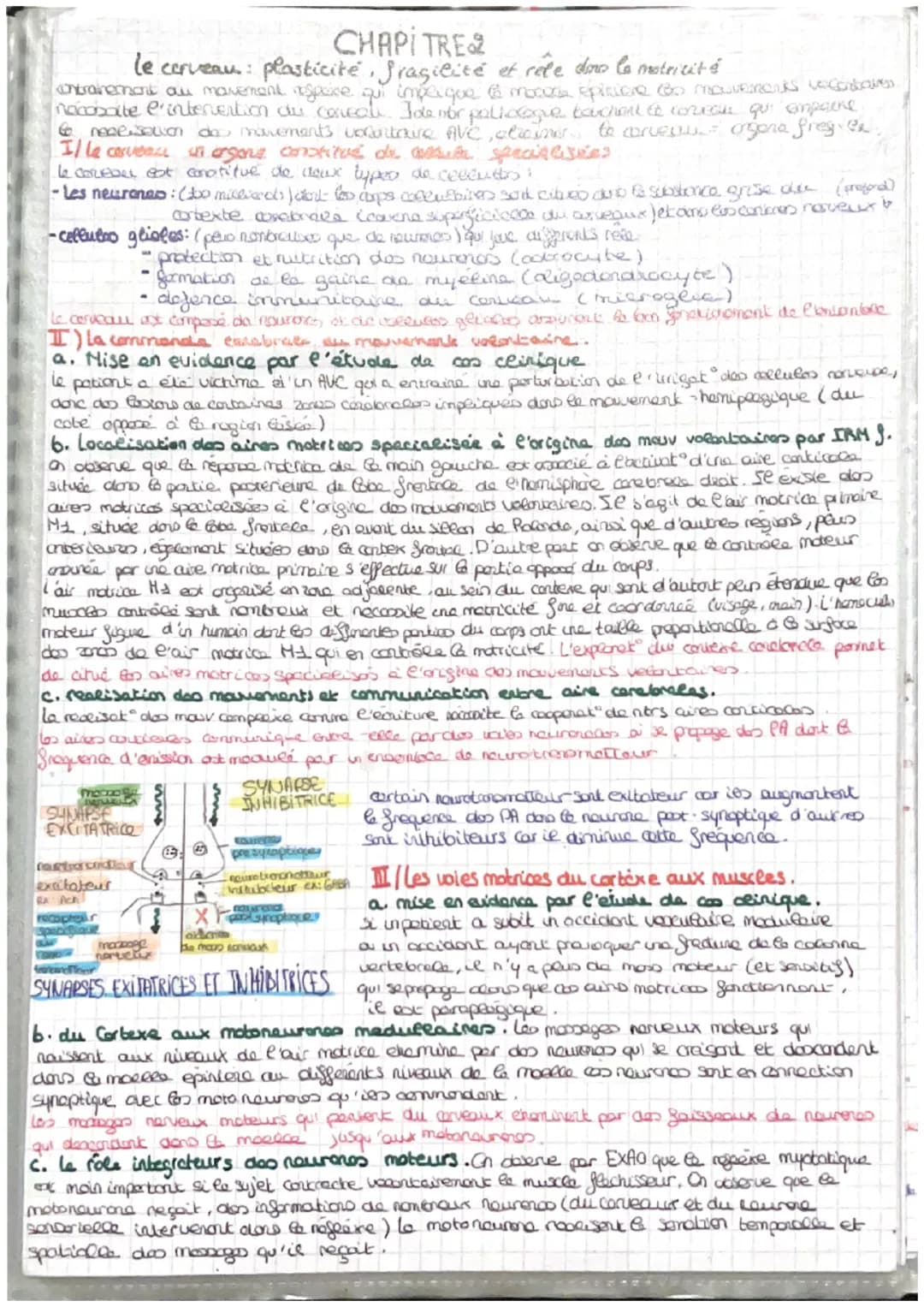 =
CORPS HUMAIN ET SANTEE
intro: pour faire face au perturbat" de son enormement l'organisme est capable des colopte
stress biologique le com