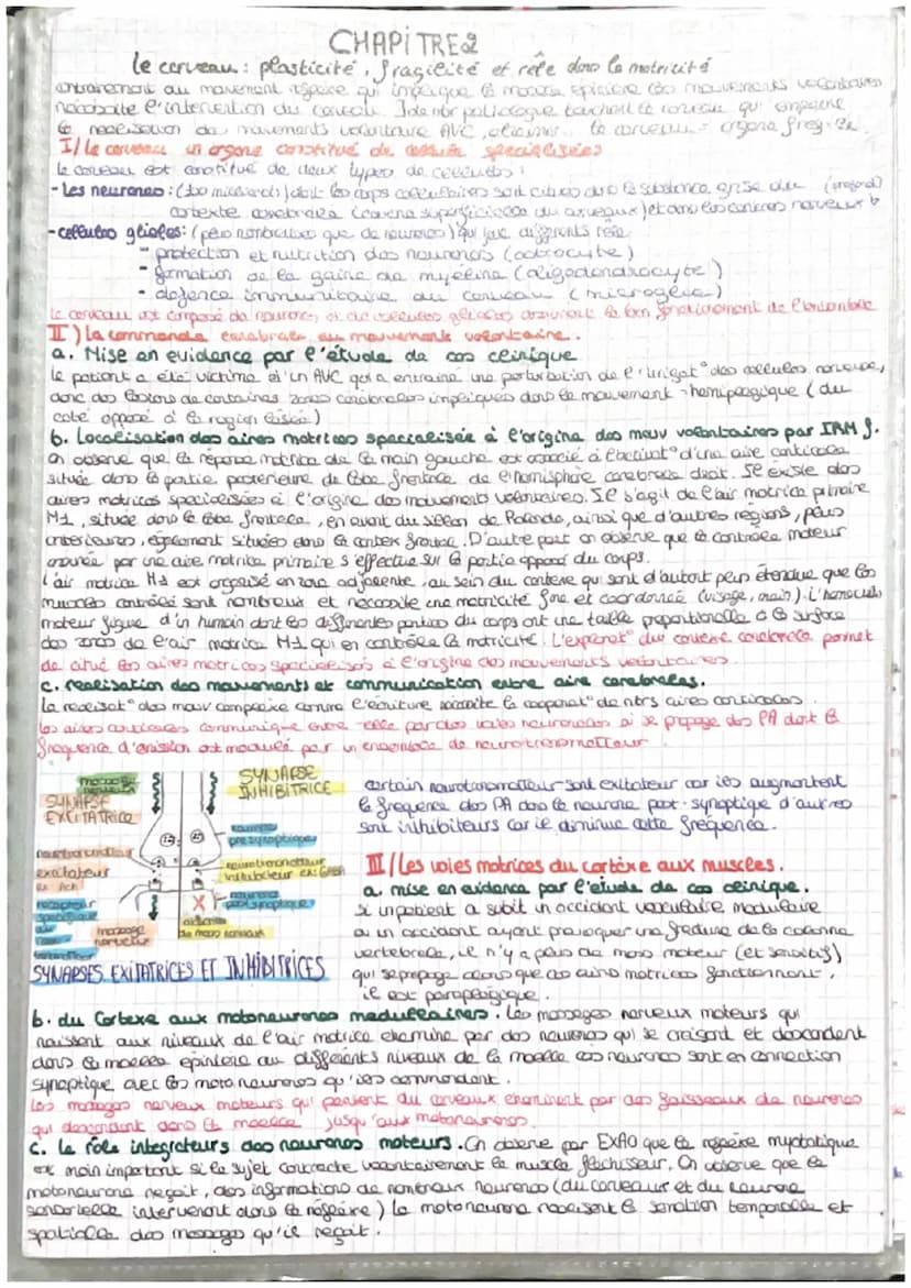 =
CORPS HUMAIN ET SANTEE
intro: pour faire face au perturbat" de son enormement l'organisme est capable des colopte
stress biologique le com