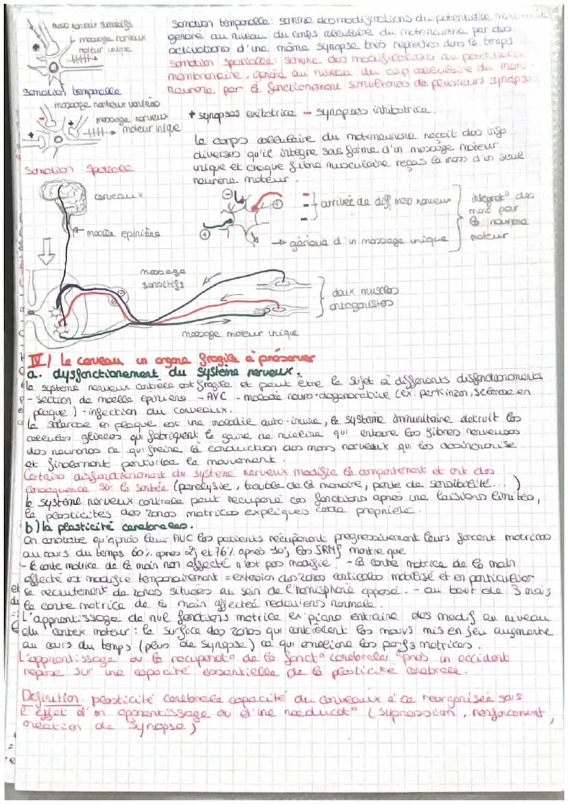 =
CORPS HUMAIN ET SANTEE
intro: pour faire face au perturbat" de son enormement l'organisme est capable des colopte
stress biologique le com