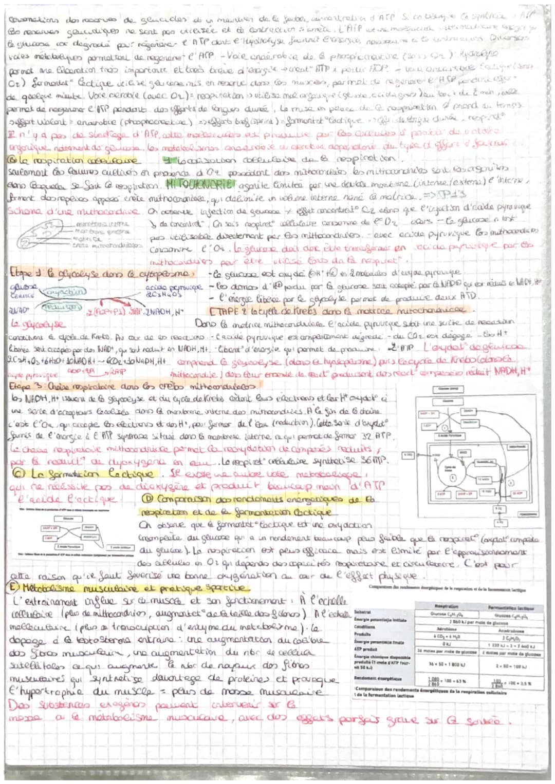 =
CORPS HUMAIN ET SANTEE
intro: pour faire face au perturbat" de son enormement l'organisme est capable des colopte
stress biologique le com