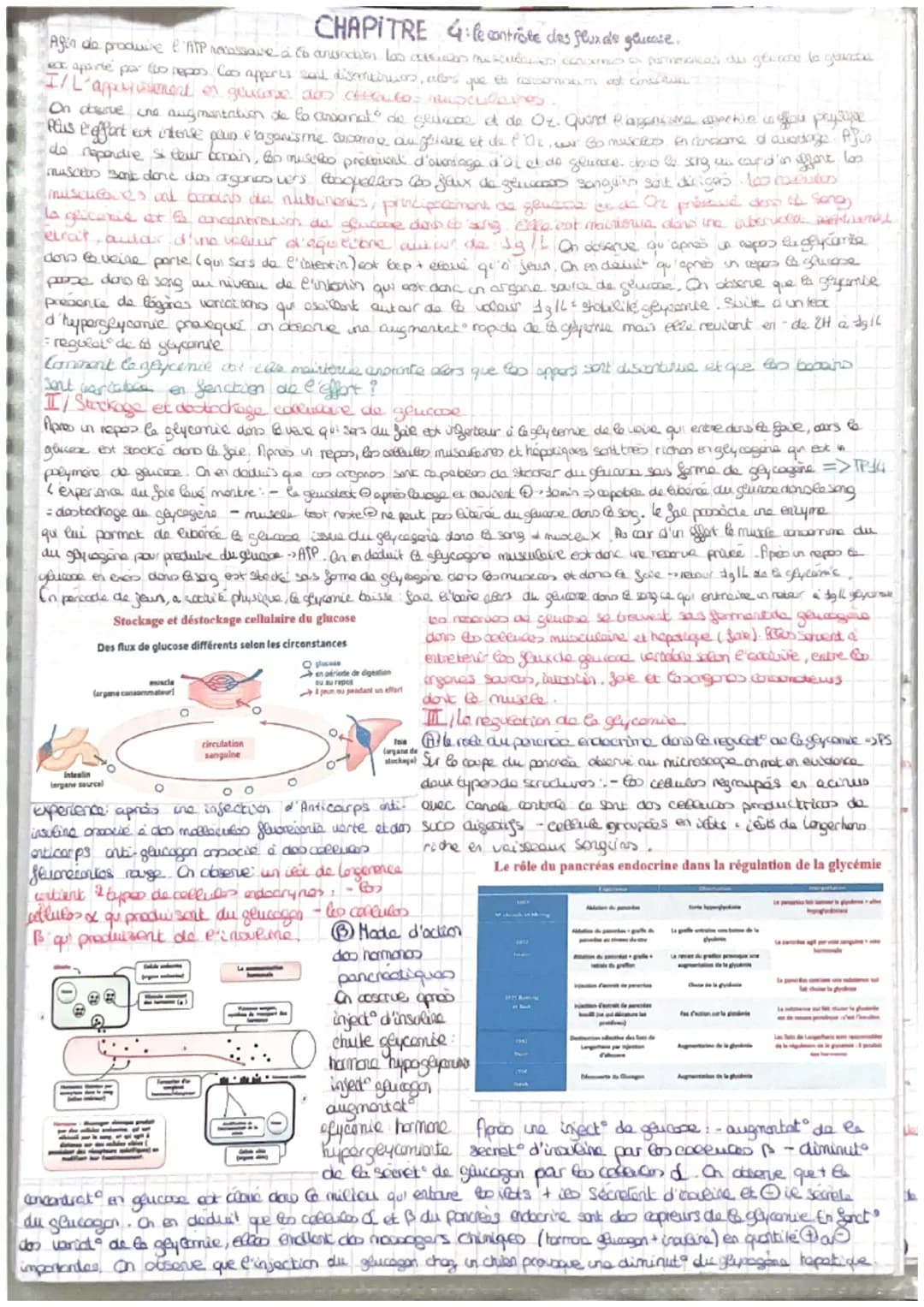 =
CORPS HUMAIN ET SANTEE
intro: pour faire face au perturbat" de son enormement l'organisme est capable des colopte
stress biologique le com