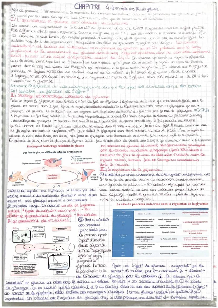 =
CORPS HUMAIN ET SANTEE
intro: pour faire face au perturbat" de son enormement l'organisme est capable des colopte
stress biologique le com