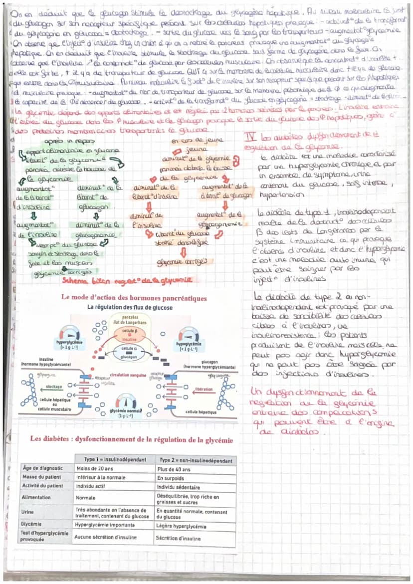 =
CORPS HUMAIN ET SANTEE
intro: pour faire face au perturbat" de son enormement l'organisme est capable des colopte
stress biologique le com