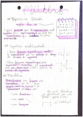 Know les expressions littérales et la symétrie axiale/centrale  thumbnail