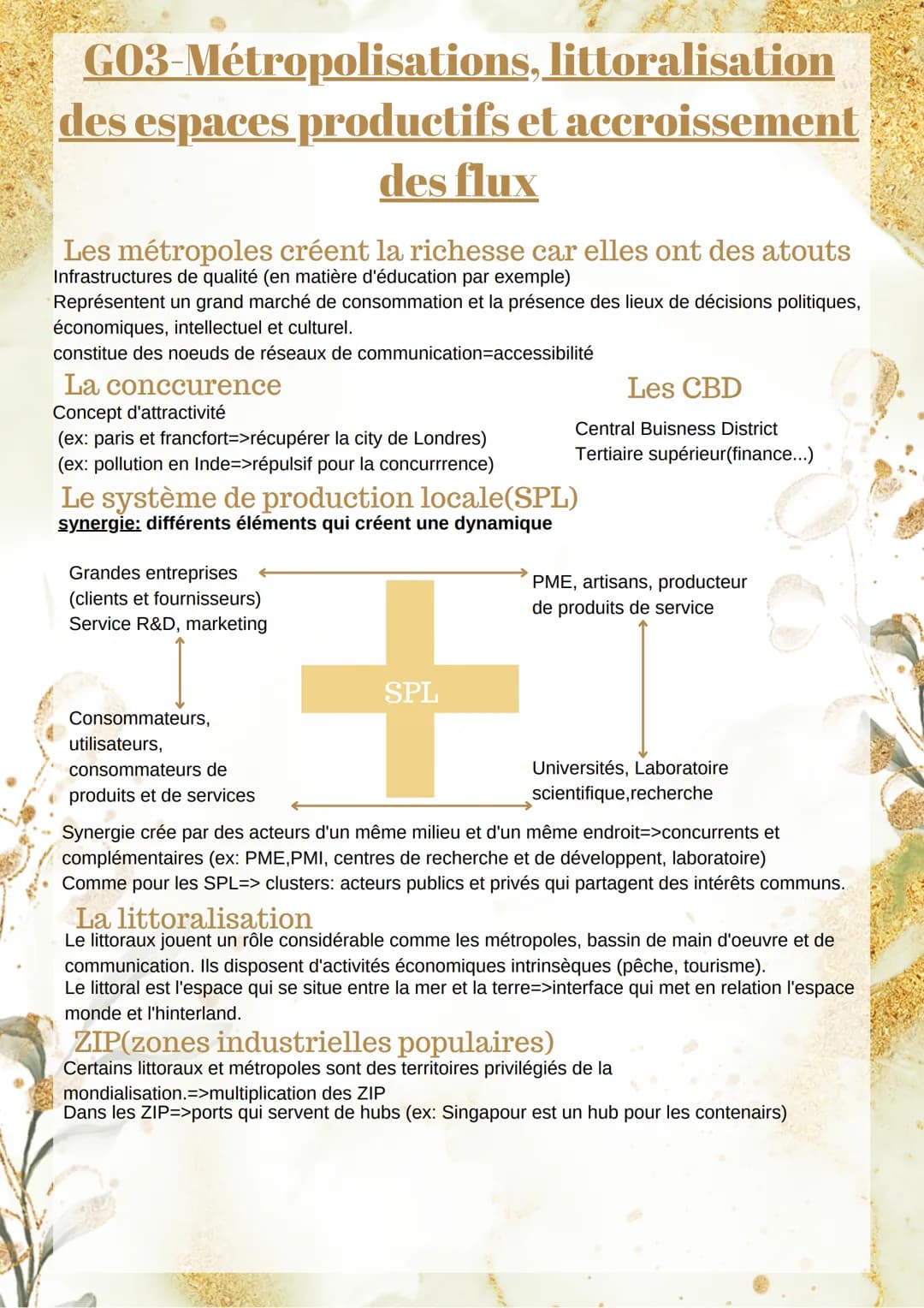 GO3-Métropolisations,
littoralisation
des espaces productifs et accroissement
des flux
Les métropoles créent la richesse car elles ont des a