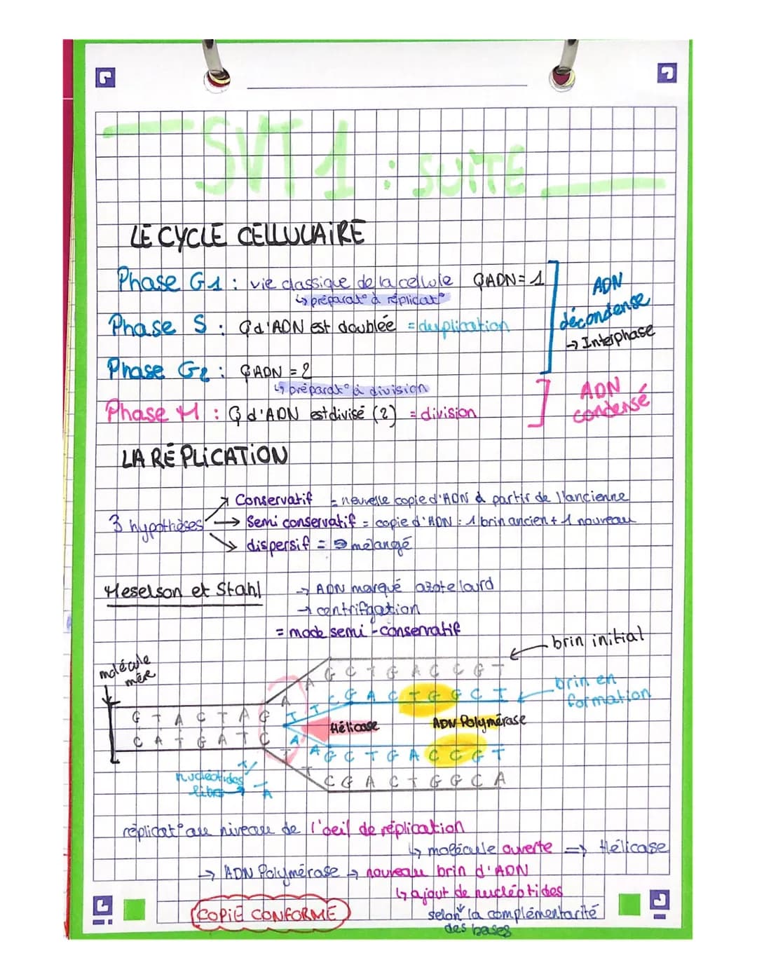 LA MITOSE
Prophase
Metaphase
Anaphase
Lash
Telophase
Endu
ما عمله
2=2
fok.
Xx₂
xxxxxxx
4 merc2filles
Minki (win
И
chromosomes se condensent
