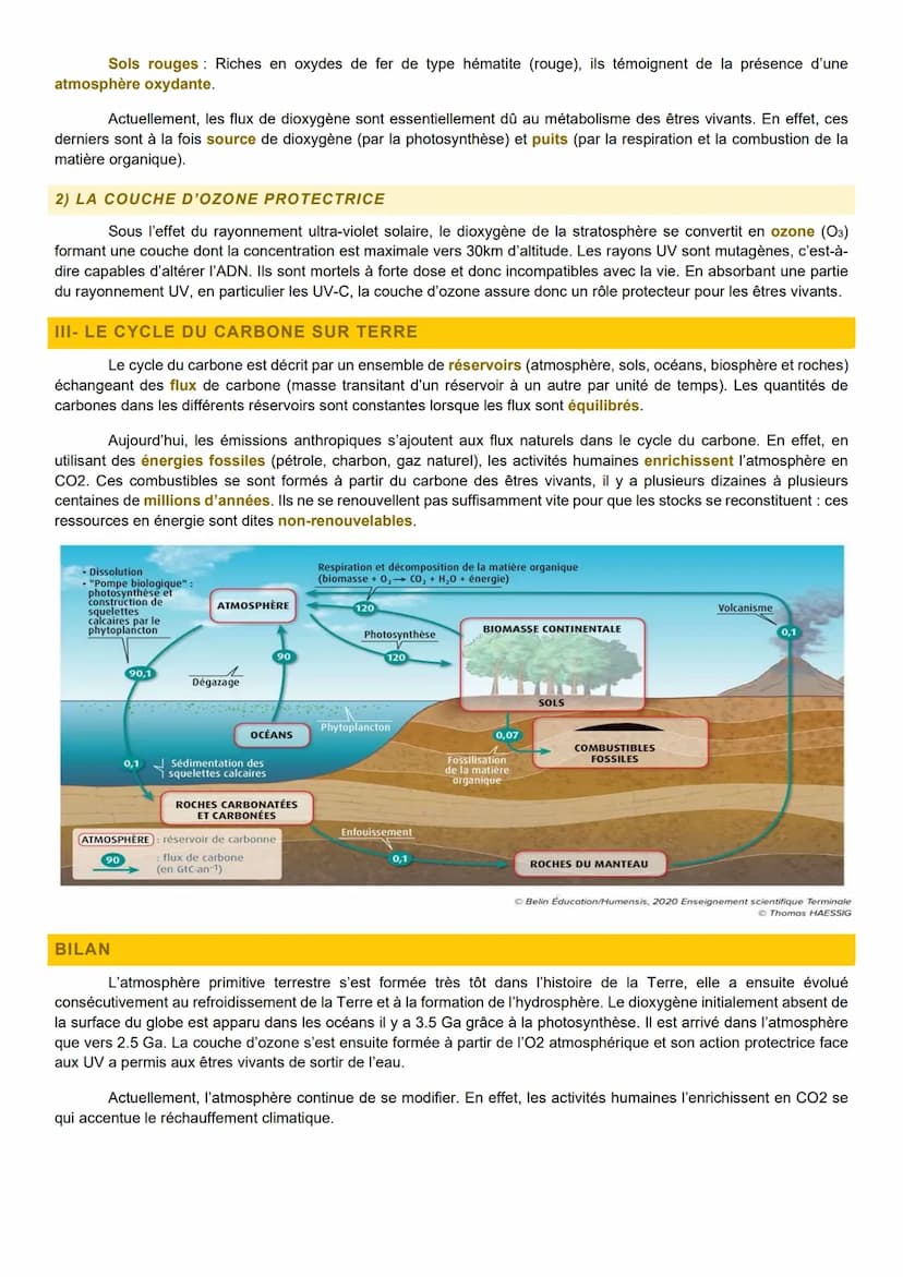 L'ATMOSPHERE TERRESTRE ET
LA VIE
COMMENT A EVOLUE LA COMPOSITION DE L'ATMOSPHERE DE LA TERRE DEPUIS SA FORMATION? QUELS
FACTEURS ONT INFLUEN
