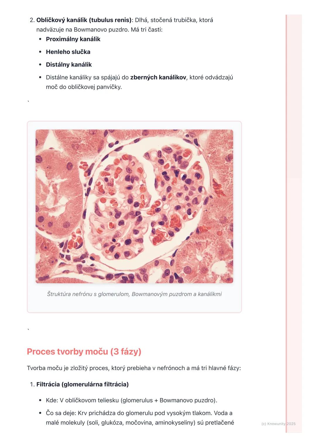 # Vylučovacia sústava

1. Prehľad vylučovacej sústavy

Vylučovacia sústava je pre naše telo super dôležitá, lebo sa stará o to, aby sme
sa z