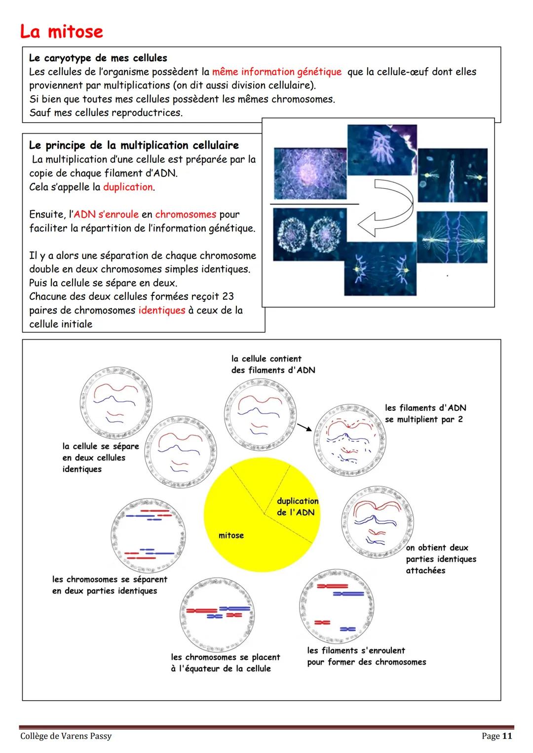 2018
SVT
Révisions pour le brevet
Collège de Varens Passy Les volcans
Les séismes
La planète Terre
La circulation du sang
La structure de
la