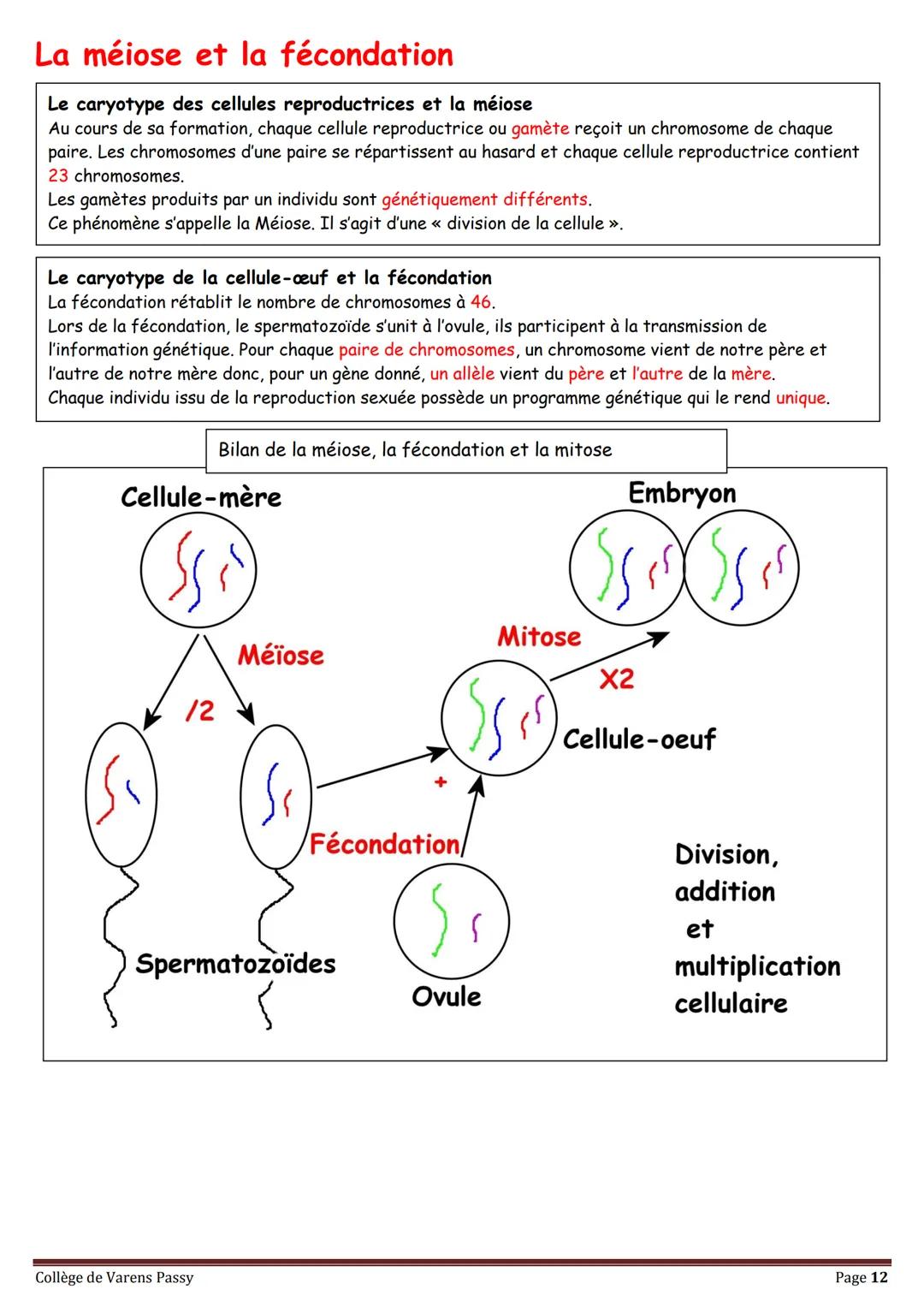 2018
SVT
Révisions pour le brevet
Collège de Varens Passy Les volcans
Les séismes
La planète Terre
La circulation du sang
La structure de
la