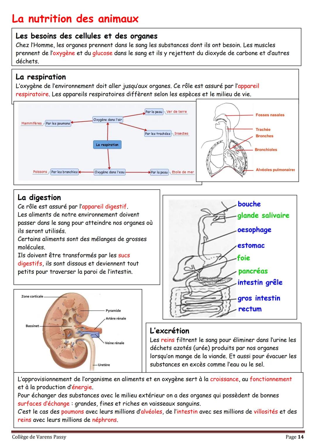 2018
SVT
Révisions pour le brevet
Collège de Varens Passy Les volcans
Les séismes
La planète Terre
La circulation du sang
La structure de
la