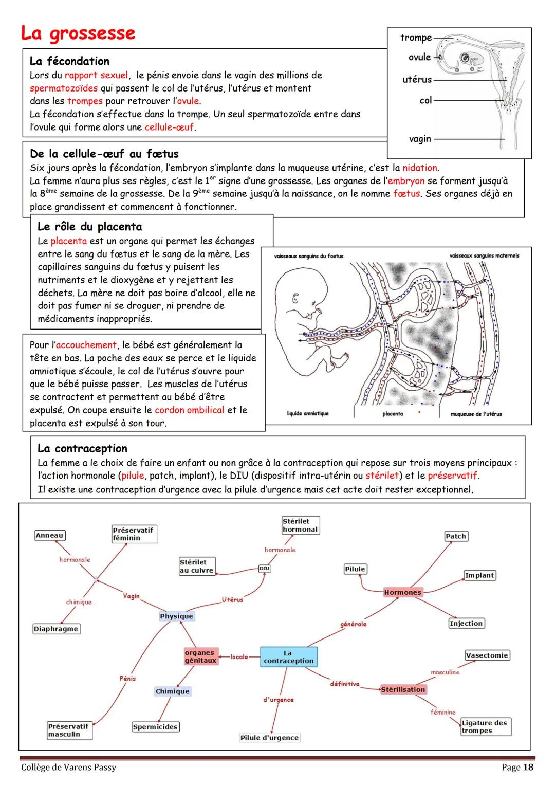 2018
SVT
Révisions pour le brevet
Collège de Varens Passy Les volcans
Les séismes
La planète Terre
La circulation du sang
La structure de
la