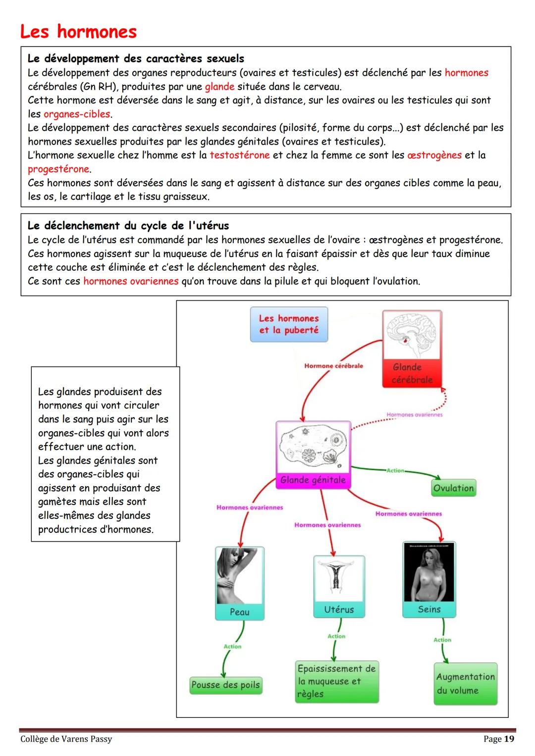 2018
SVT
Révisions pour le brevet
Collège de Varens Passy Les volcans
Les séismes
La planète Terre
La circulation du sang
La structure de
la