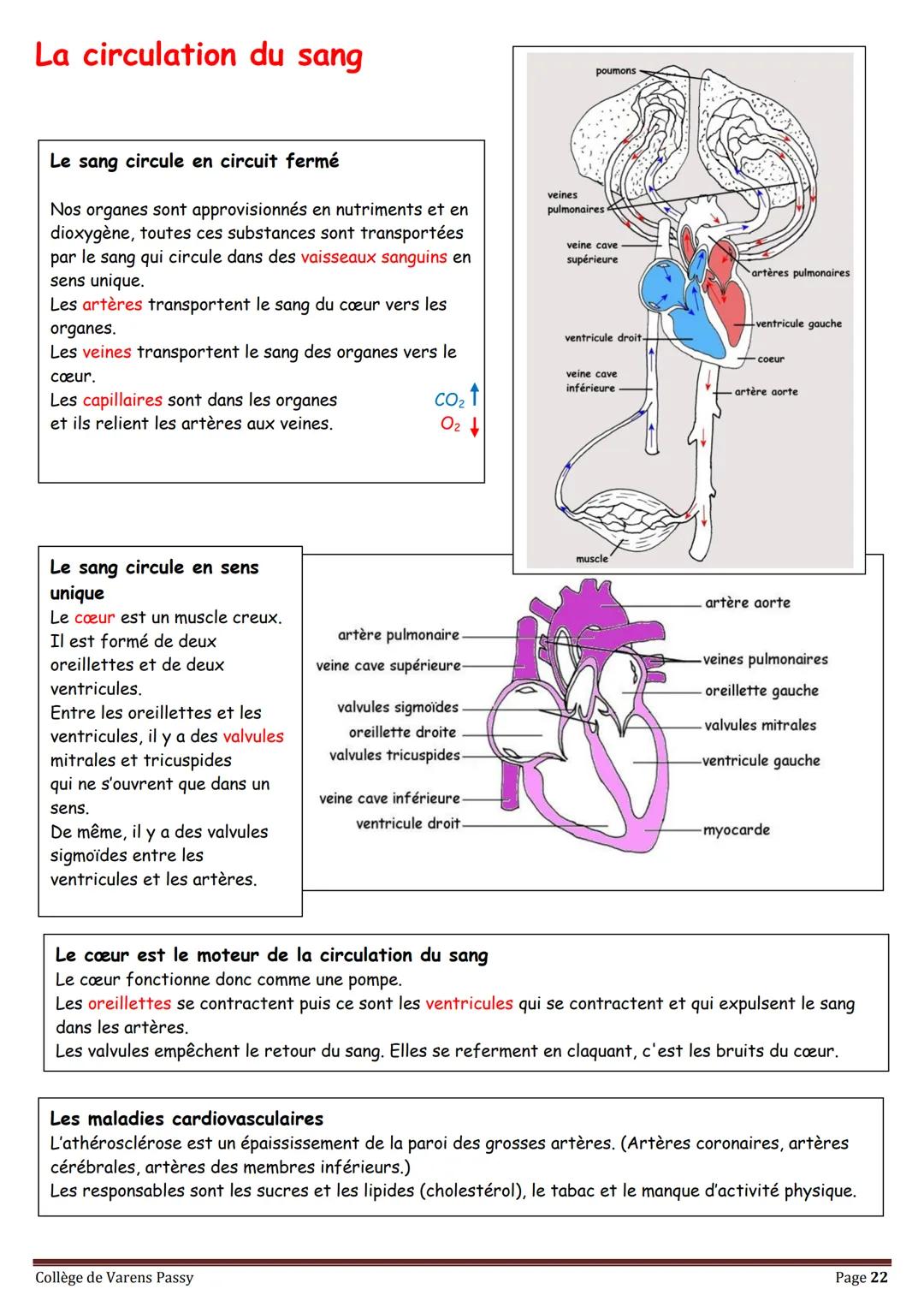 2018
SVT
Révisions pour le brevet
Collège de Varens Passy Les volcans
Les séismes
La planète Terre
La circulation du sang
La structure de
la