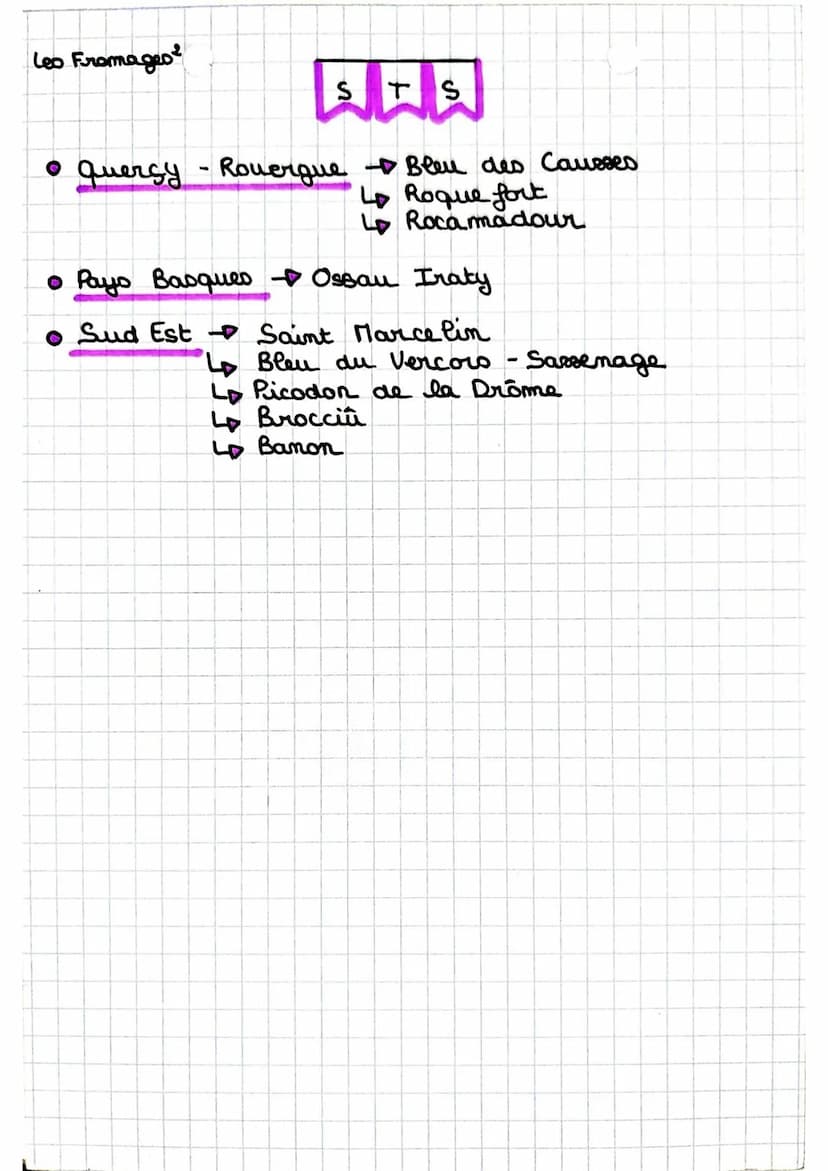 Les Fromages
• Elaboration d'un fromage
• Caillage Lait + presure = caille
↳ Proteines se transformment on flocons.
= coagulation
STS
• Egou