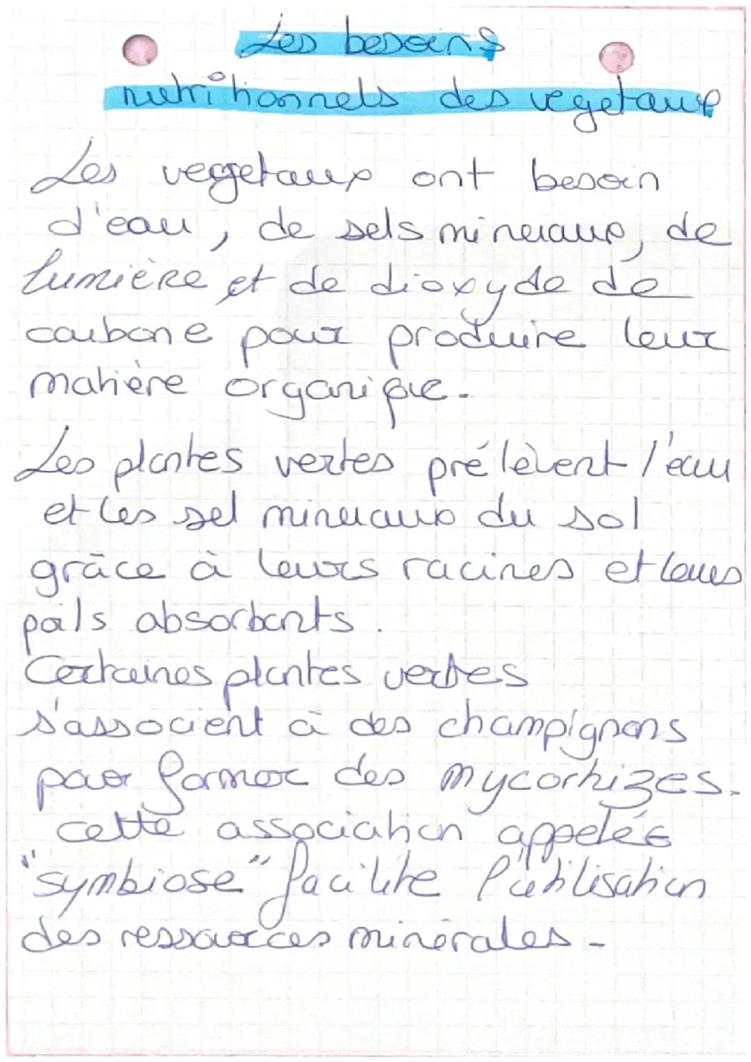 Les besoins
nutritionnels des vegetarre
Les vegetaux ont besoin
d'eau, de sels mineraus, de
lumière et de dioxyde de
caubone pour produire l