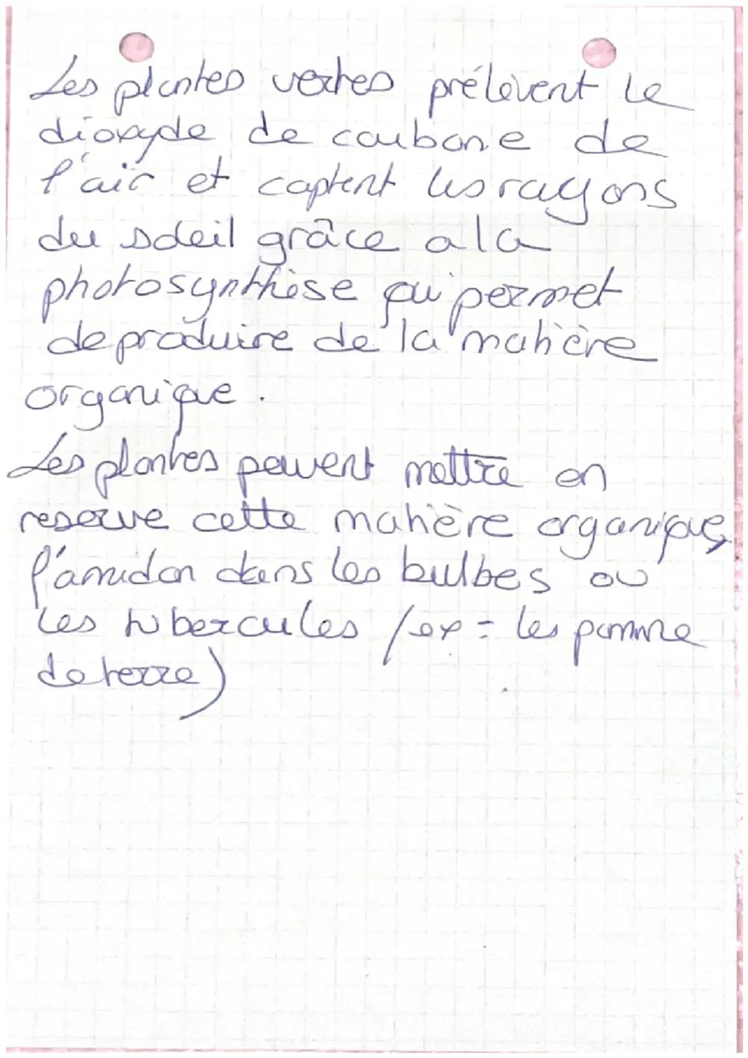 Les besoins
nutritionnels des vegetarre
Les vegetaux ont besoin
d'eau, de sels mineraus, de
lumière et de dioxyde de
caubone pour produire l