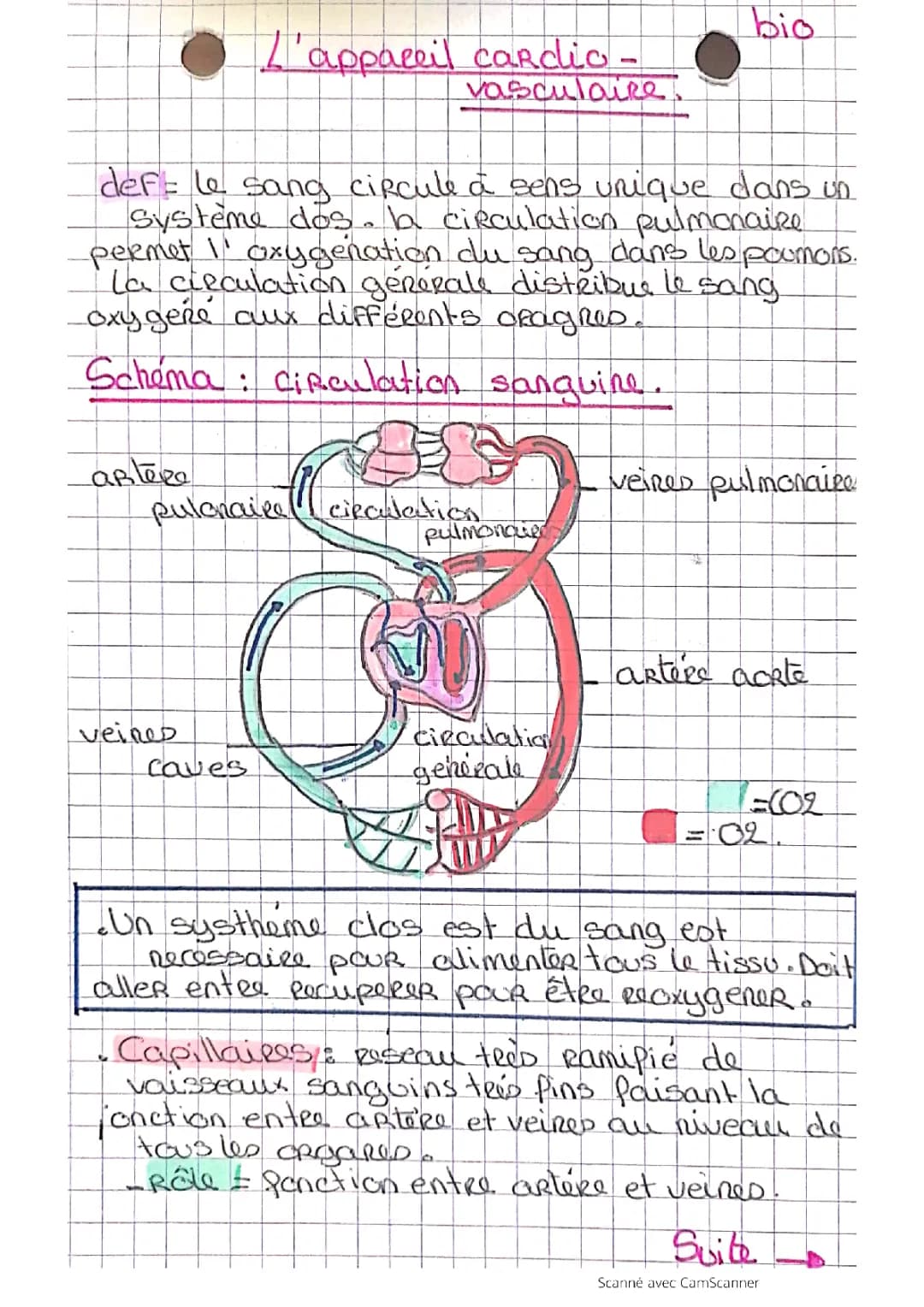 L'appareil cardio-vasculaire
