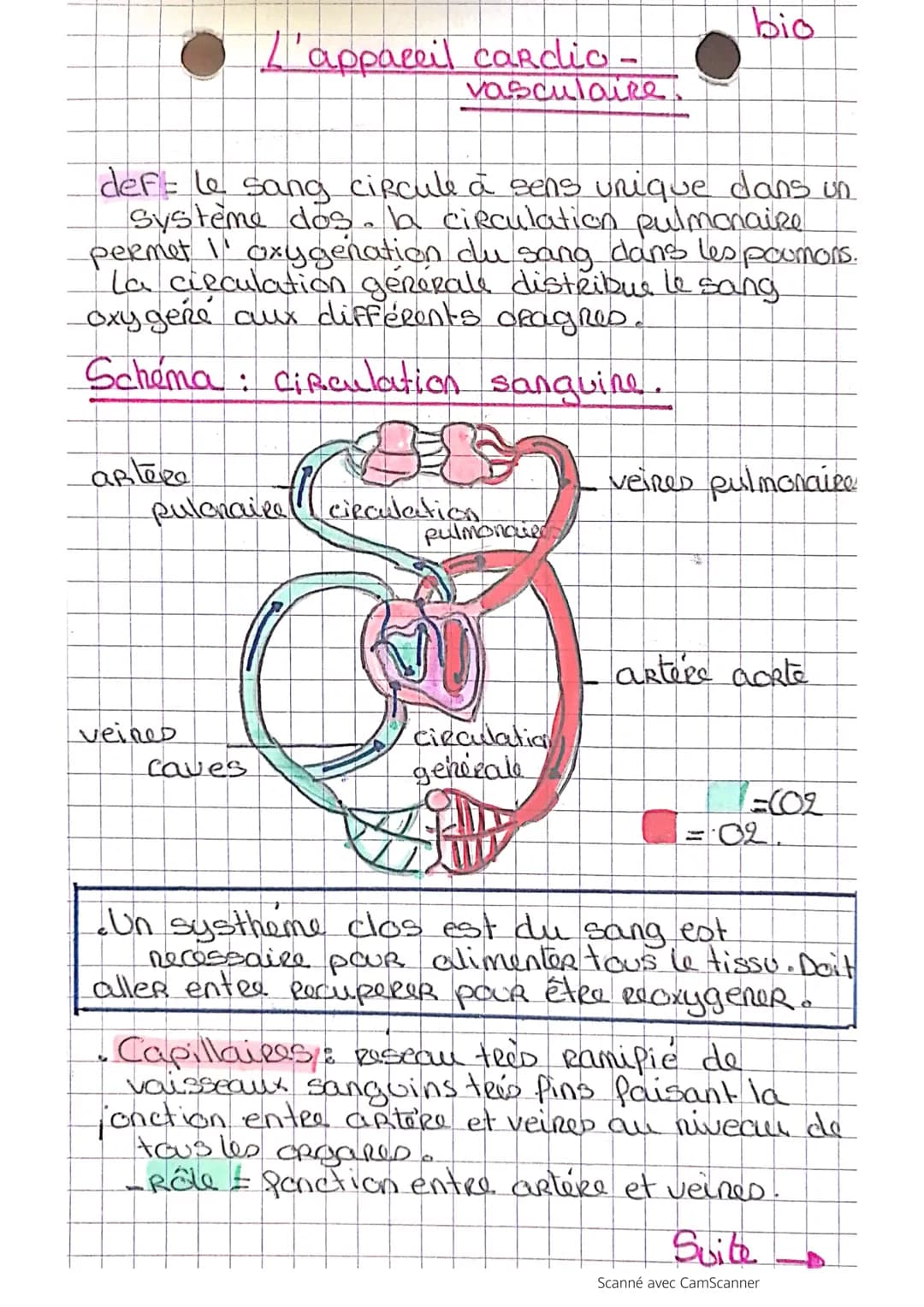 • L'appareil cardio -
vasculaire
def le sang circule à sens unique dans un
Systeme dos. b circulation pulmonaire
permet I' oxygenation du sa