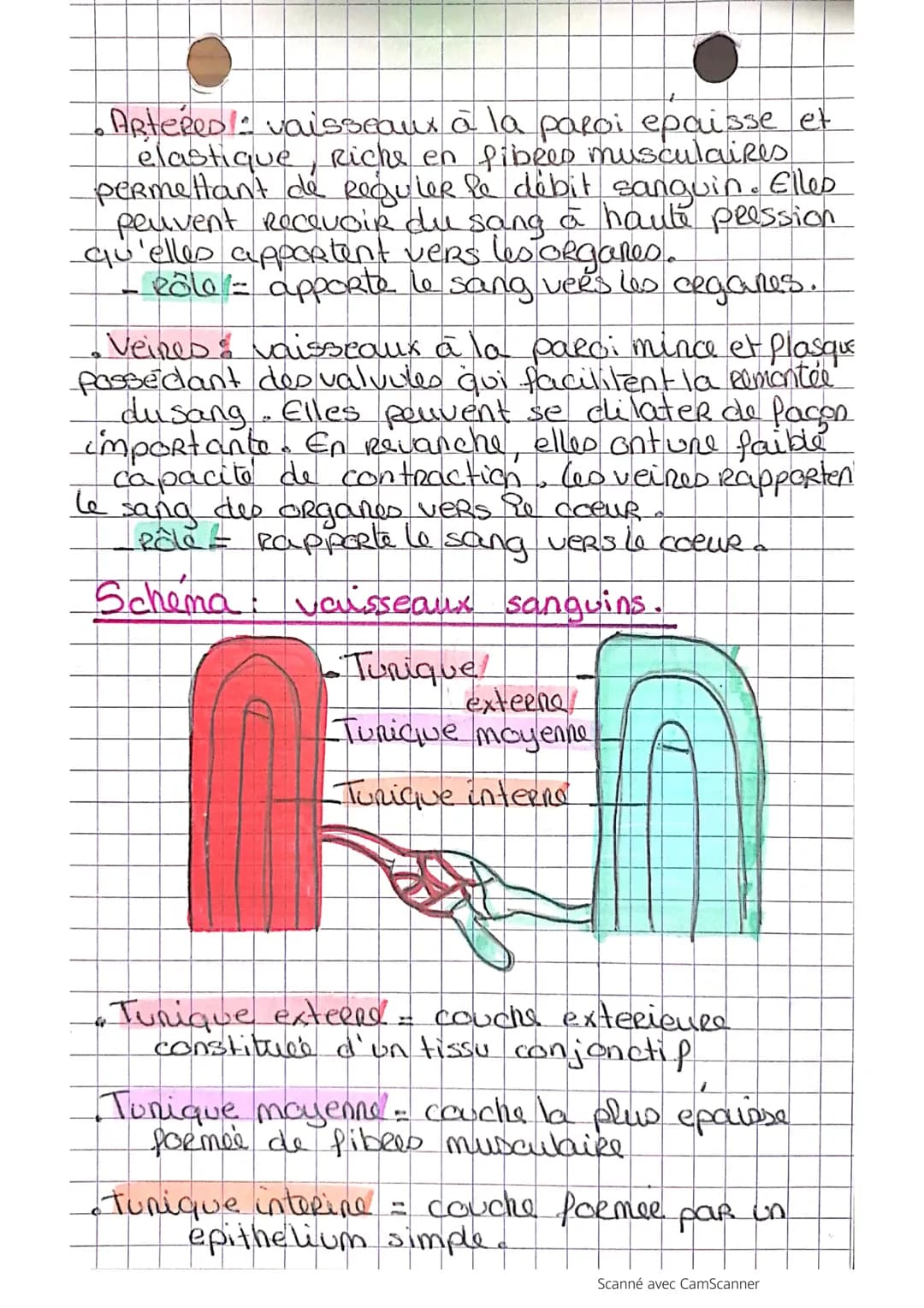 • L'appareil cardio -
vasculaire
def le sang circule à sens unique dans un
Systeme dos. b circulation pulmonaire
permet I' oxygenation du sa