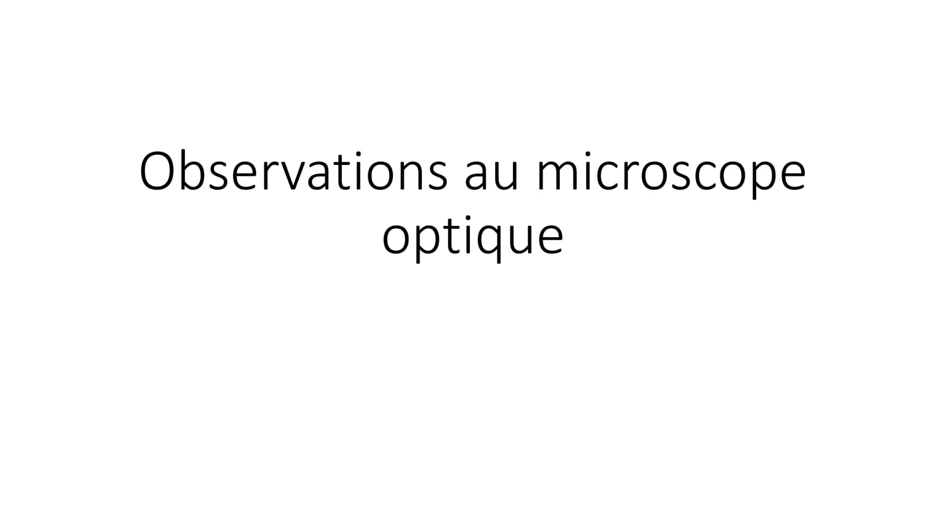 Observations au microscope
optique Observation d'un épiderme
inférieur d'une feuille de
pélargonium au microscope
optique à différentes éche