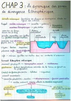 Know Chapitre 4 Spécialité SVT thumbnail