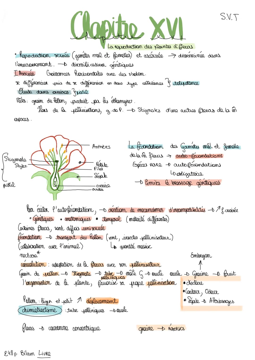 I Etude anatomique de la structure des plantes de la glours
Angiospermes plantes Regroupés, fleurs structure protectrices de la graines.
a) 