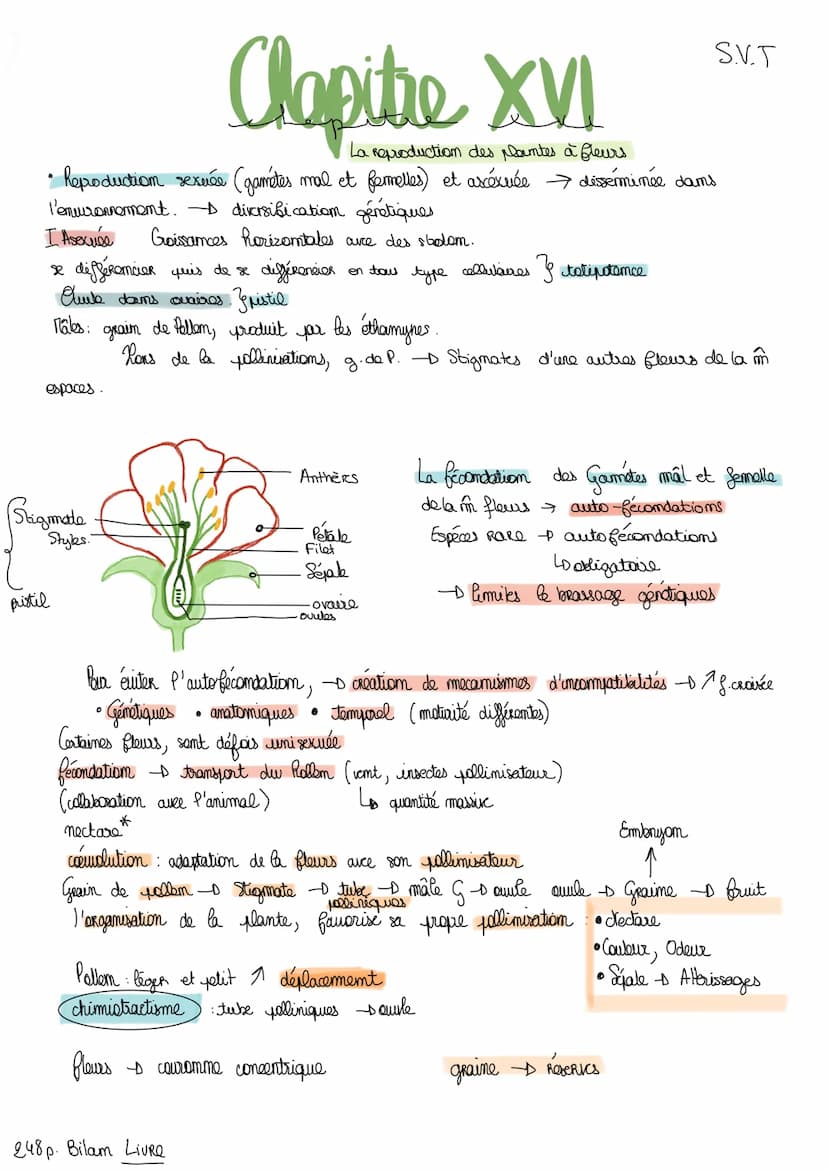 I Etude anatomique de la structure des plantes de la glours
Angiospermes plantes Regroupés, fleurs structure protectrices de la graines.
a) 