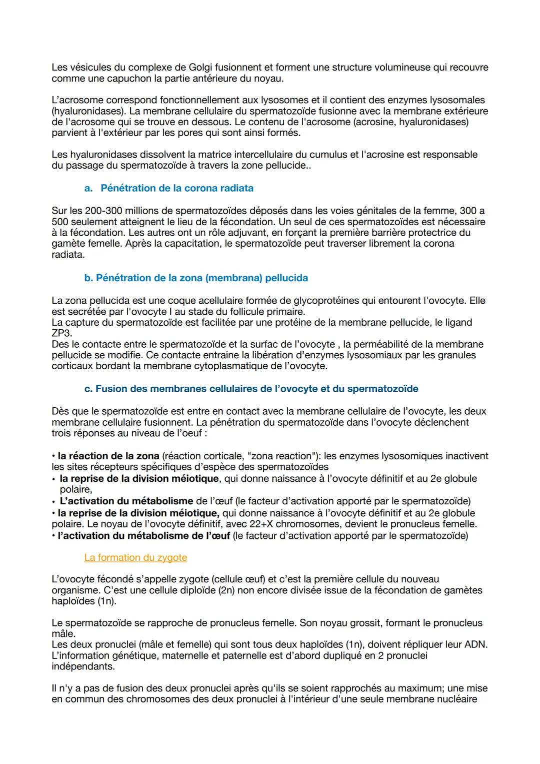 I. La fécondation :
C'est un processus au cours duquel s'unissent les gamètes mâle et femelle (lespermatozoïde et
l'ovocyte), ayant comme co