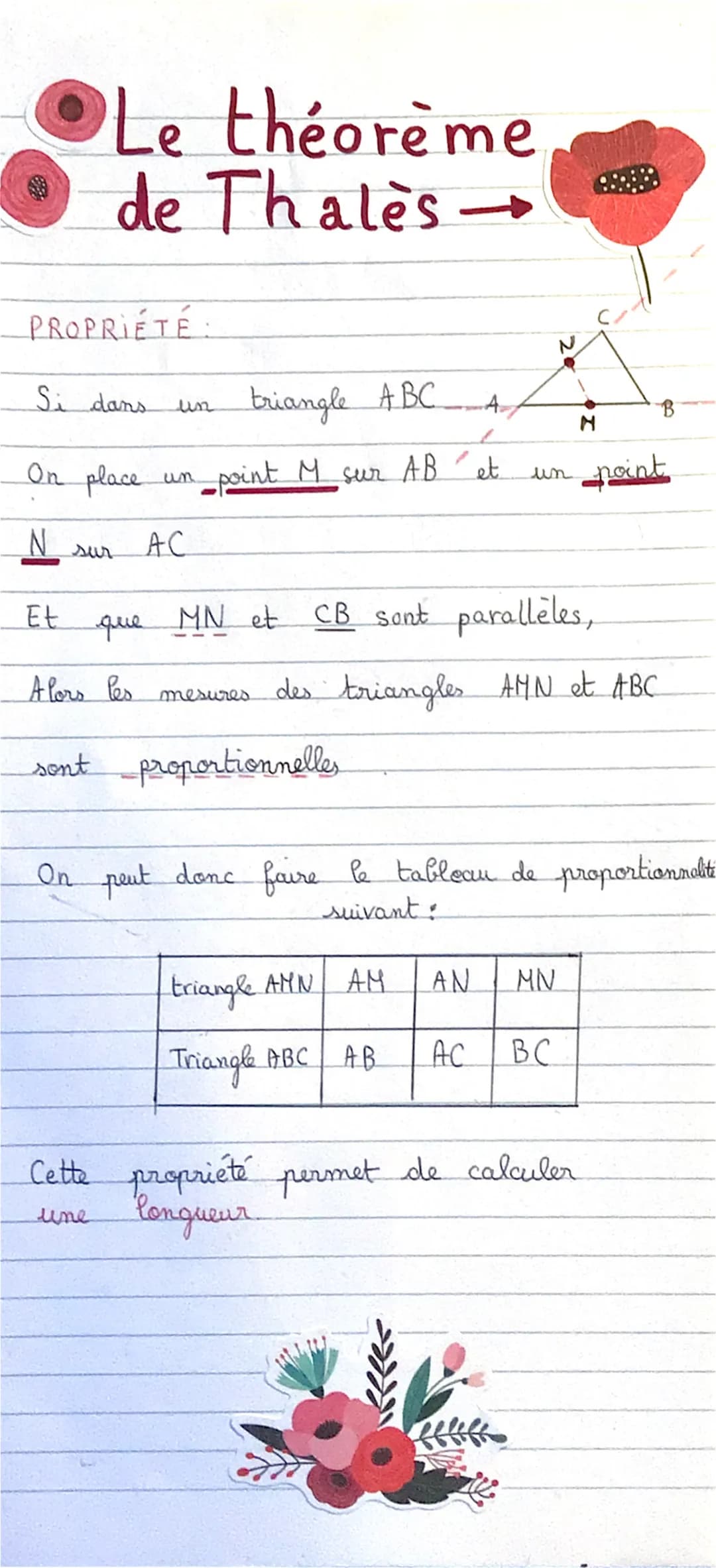 30
Le théorème
de Thales
PROPRIÉTÉ:
Si dans
triangle ABC
A
un point M sur AB et.
AC
On place.
N
Et
un
un
que MN et
MN et CB sont parallèles,