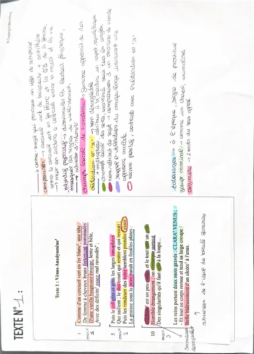 --- OCR Start ---
INTRODUCTION (1 min 30 max.)
Carte d'identité de l'œuvre
Titre: vorus Anadyomère
Auteur: Arthur Rimbaud
Date: 27 juillet 1