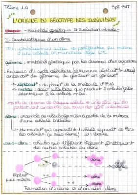 Know Thème 1.A - Chapitre 1 & 2 : L’origine du génotype des individus  thumbnail