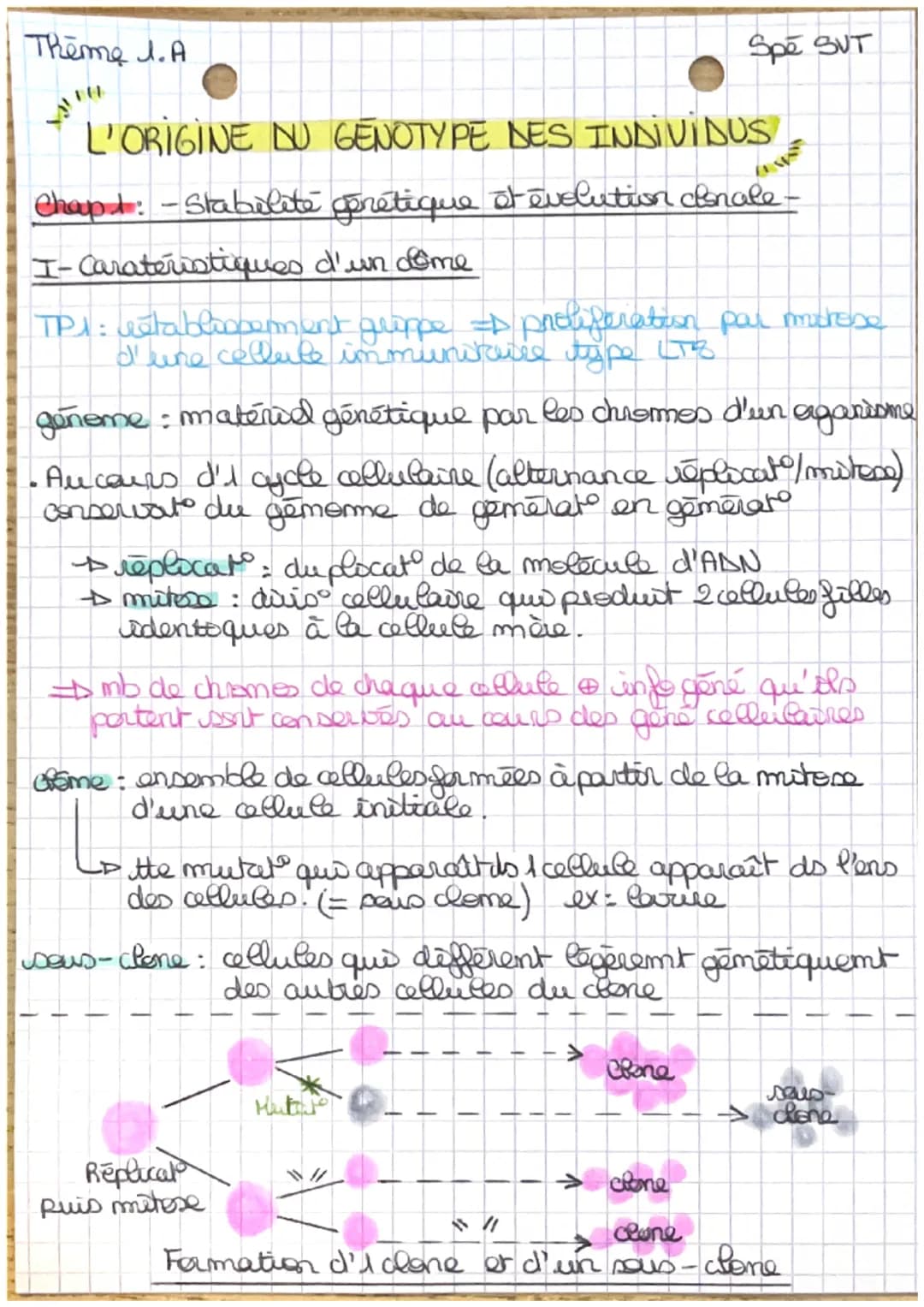 Theme J.A
L'ORIGINE NU GENOTYPE DES INDIVIDUS
Chapt: - Stabilité génétique et évolution clonale -
Yo
I-Carateristiques d'un dome
TP1: establ