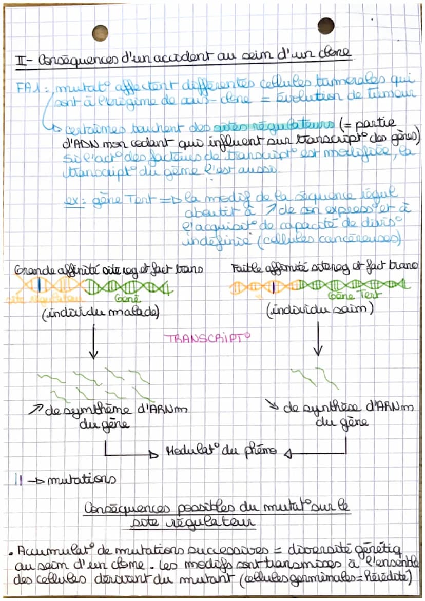 Theme J.A
L'ORIGINE NU GENOTYPE DES INDIVIDUS
Chapt: - Stabilité génétique et évolution clonale -
Yo
I-Carateristiques d'un dome
TP1: establ