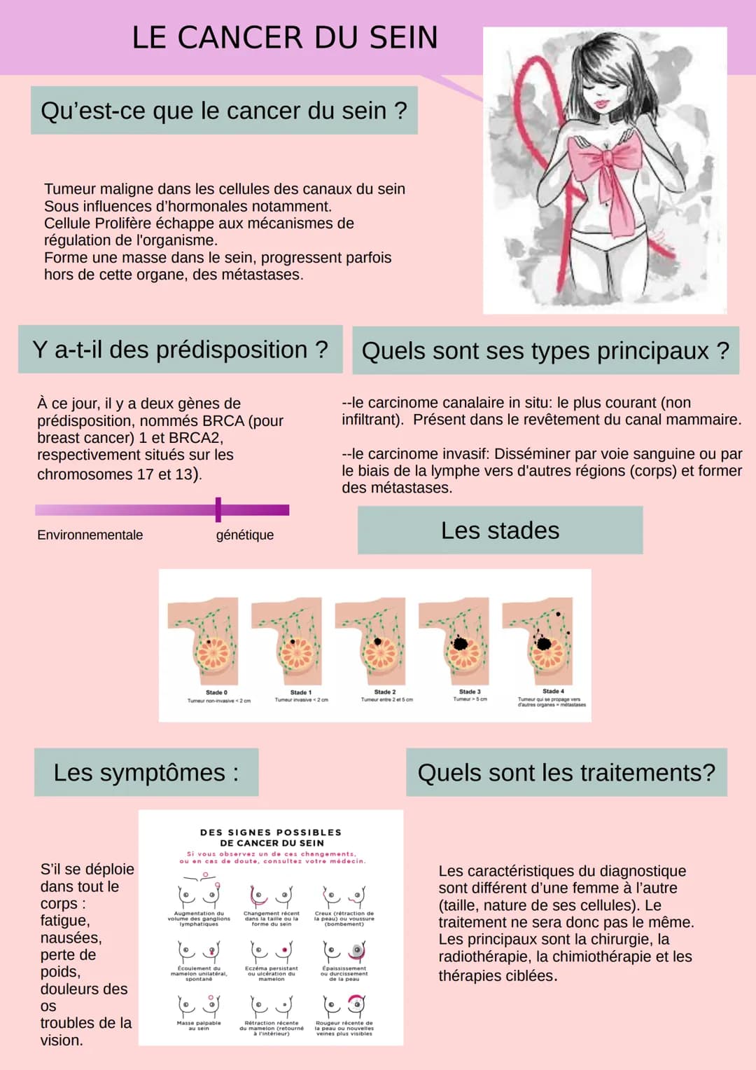 Qu'est-ce que le cancer du sein ?
LE CANCER DU SEIN
Tumeur maligne dans les cellules des canaux du sein
Sous influences d'hormonales notamme