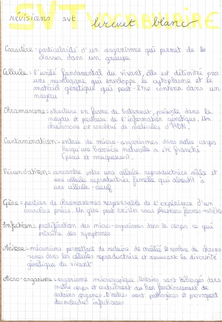 Know svt révisions brevet  thumbnail