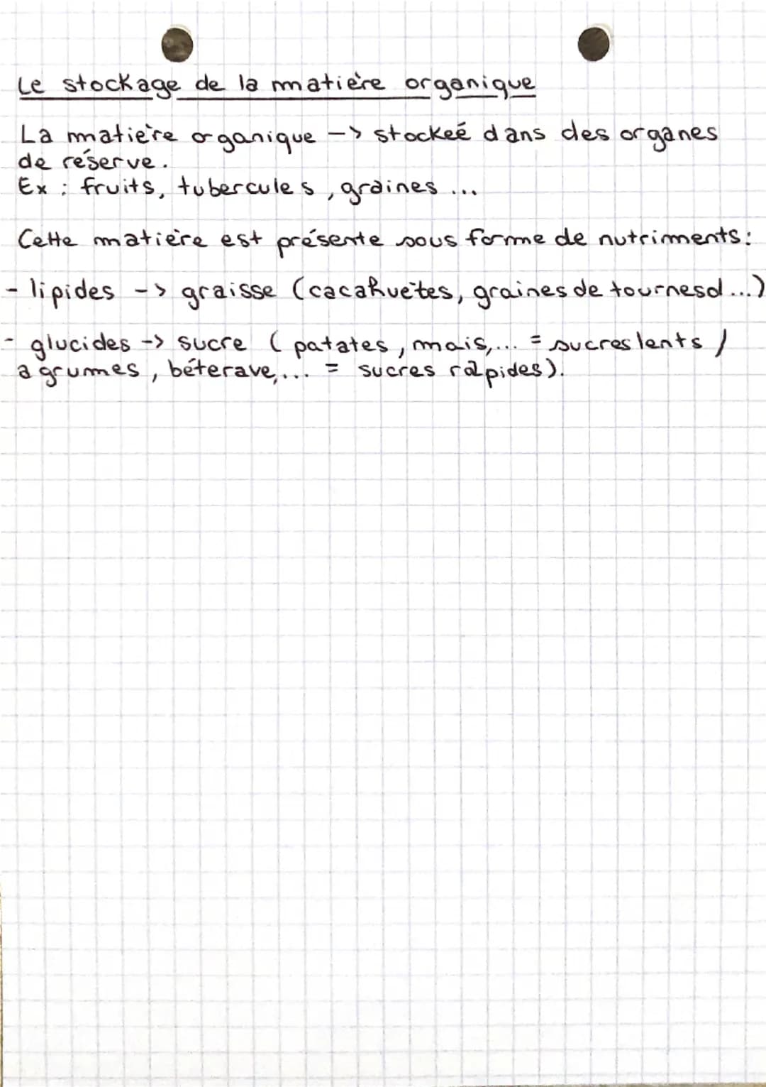 •Aut
la nutrition des végétaux❤
I) La production de matière organique
La feuille, usines de fabrication de matière organique :
L'amidon gluc
