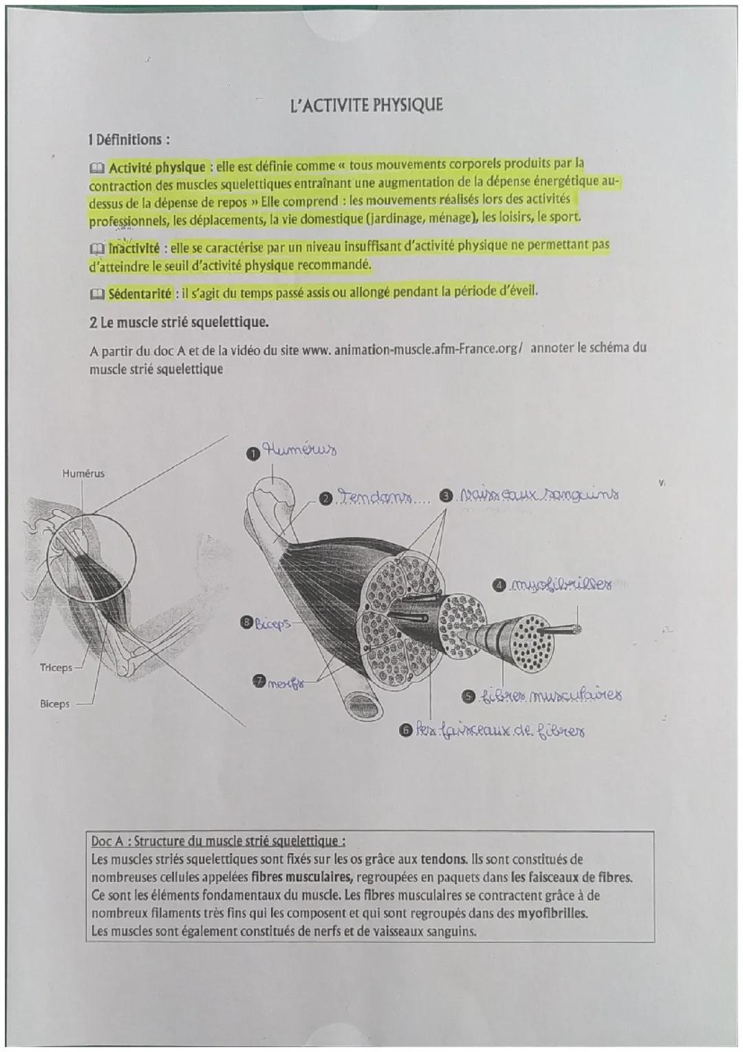 Guide de l'Activité Physique