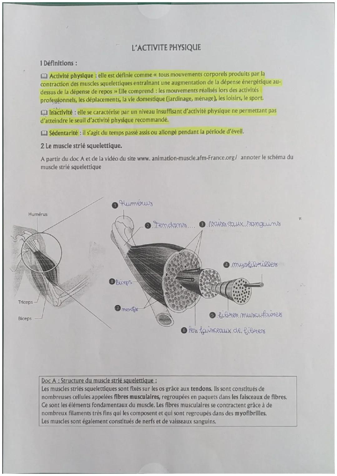 L'ACTIVITE PHYSIQUE
1 Définitions :
Activité physique : elle est définie comme « tous mouvements corporels produits par la
contraction des m
