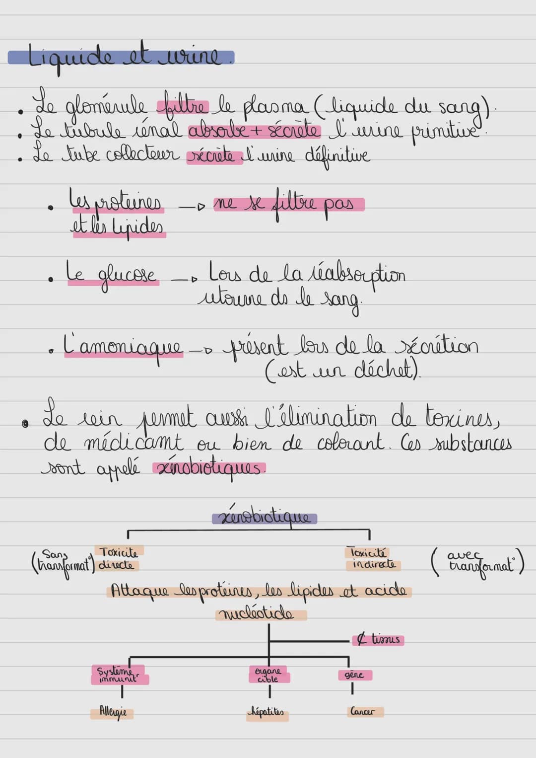 Milieu antérieur
Terminologie:
-glyco: glucose
- glycogéno: glycogeme
- insulin(o): insuline
Exemple:
glycémie
glycogénogenèse
insulinémie
-