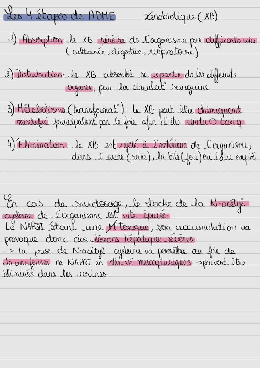 Milieu antérieur
Terminologie:
-glyco: glucose
- glycogéno: glycogeme
- insulin(o): insuline
Exemple:
glycémie
glycogénogenèse
insulinémie
-