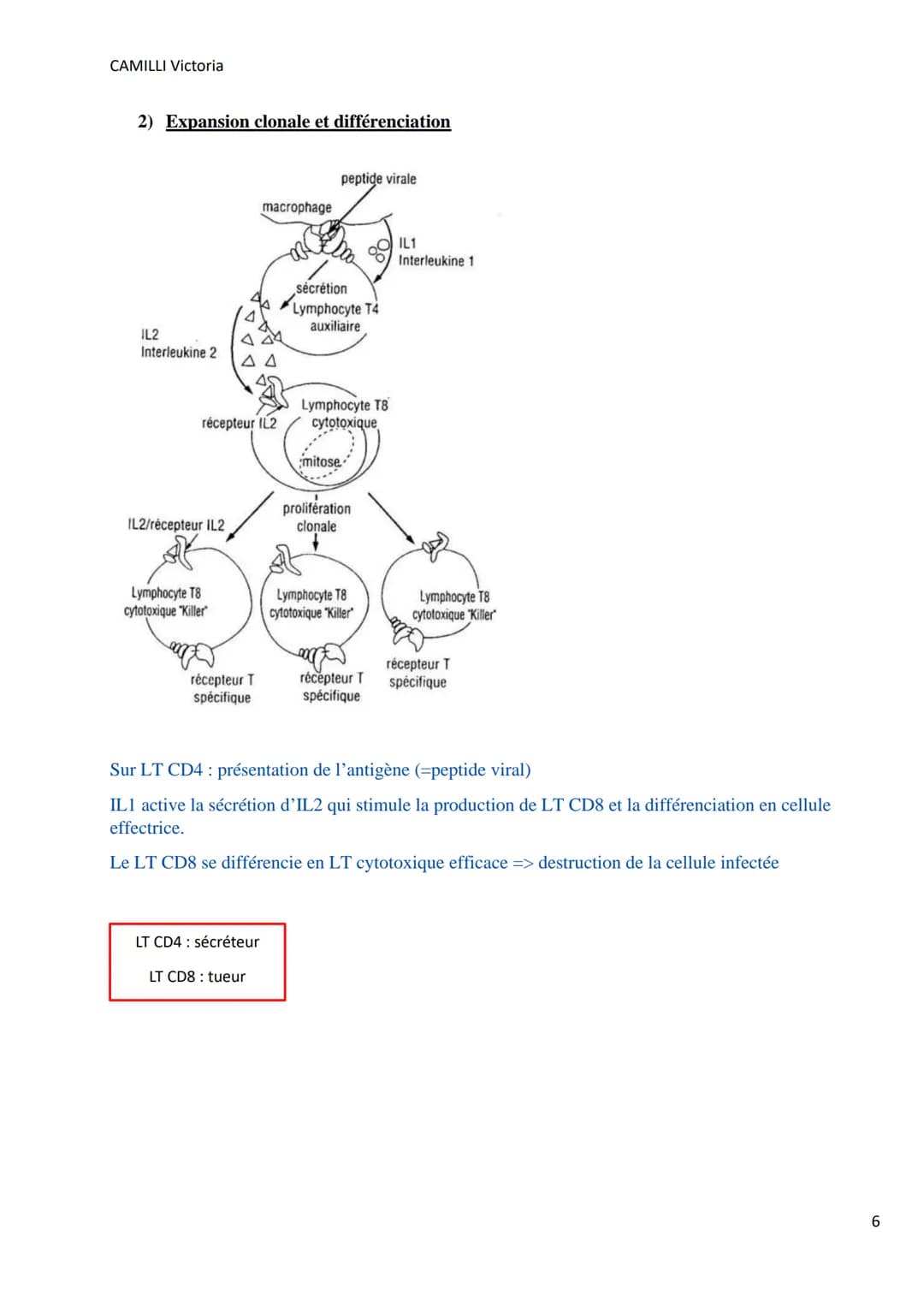 CAMILLI Victoria
I)
DEROULEMENT DE LA
REPONSE IMMUNITAIRE
PRESENTATION DE L'ANTIGENE
SELECTION CLONALE
présentation de l'antigène par
une CP