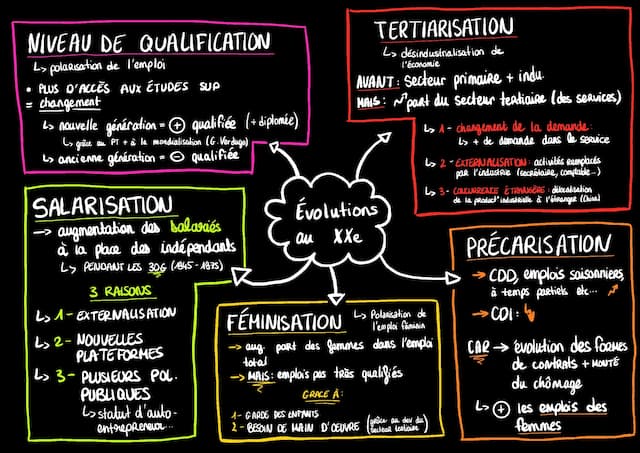 Know SCHÉMA ÉVOLUTION DE LA STRUCTURE SOCIO-PROFESSIONNELLE AU COURS DU XXe SIÈCLE  thumbnail