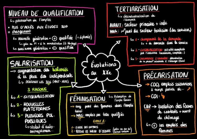 Know SCHÉMA ÉVOLUTION DE LA STRUCTURE SOCIO-PROFESSIONNELLE AU COURS DU XXe SIÈCLE  thumbnail