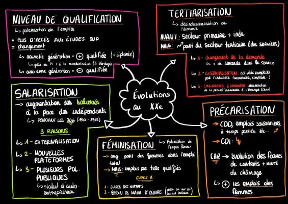 Know SCHÉMA ÉVOLUTION DE LA STRUCTURE SOCIO-PROFESSIONNELLE AU COURS DU XXe SIÈCLE  thumbnail