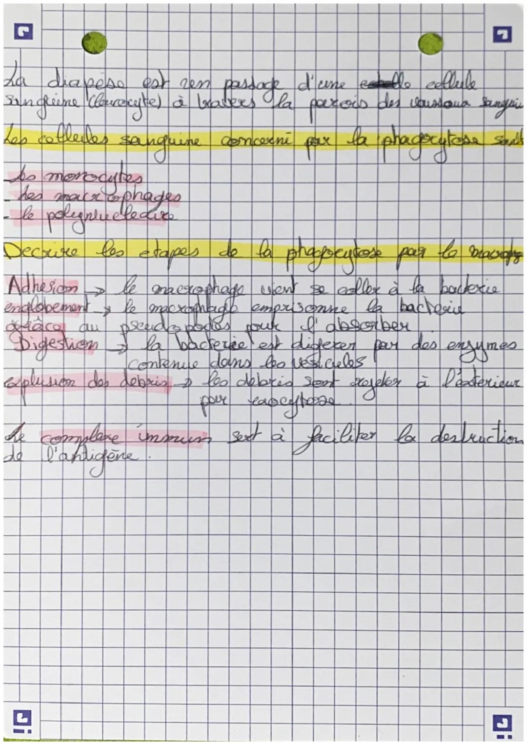 # Les systeme immunitaire

Les mare queues du Badia sonst presente sur
toute les membranes des colleules code cexcede dansle sung

4 exemple