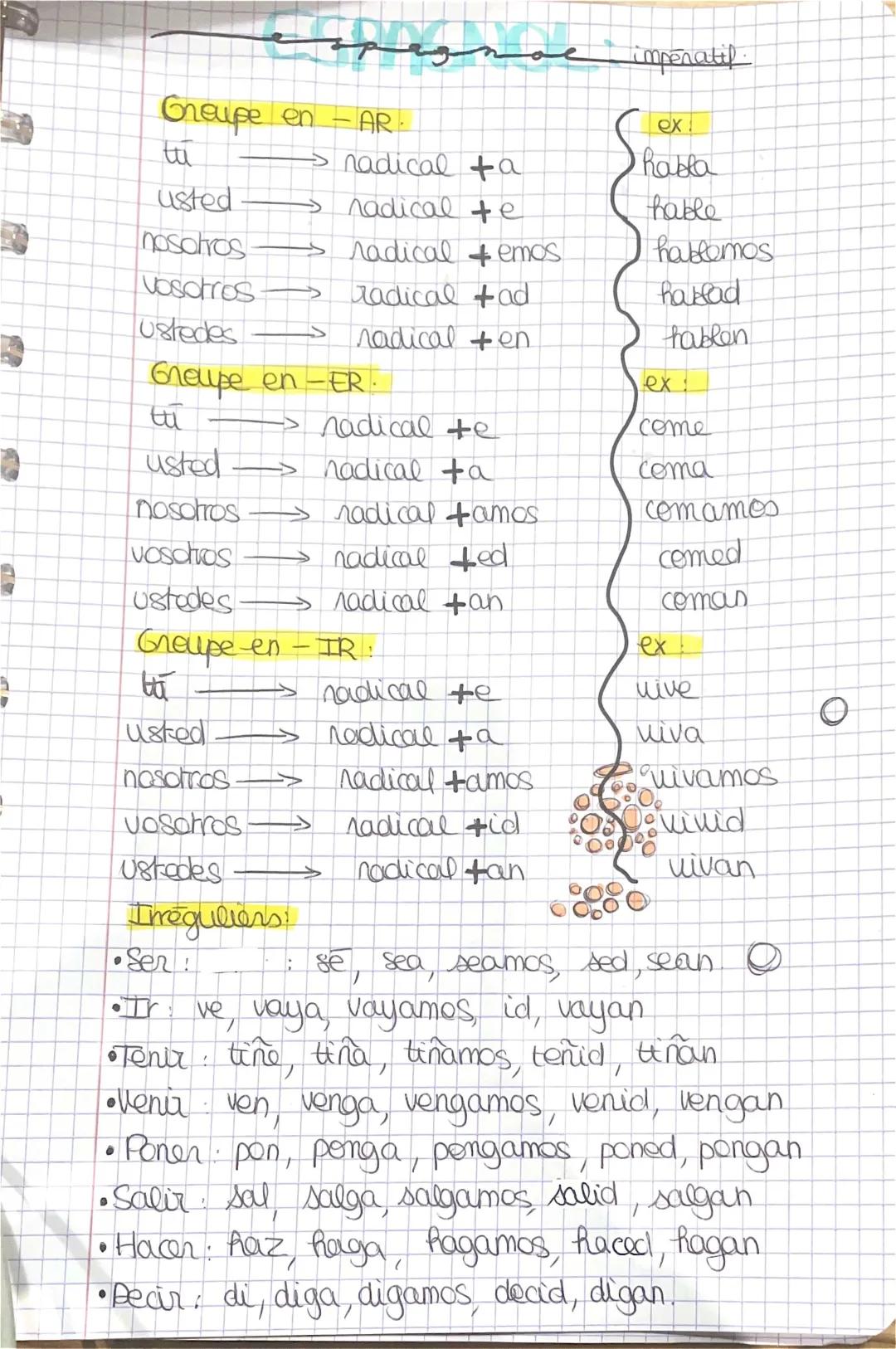 Aprende l'impératif en espagnol: exemples et exercices PDF faciles